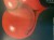 IMG_5050.jpeg